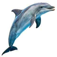 A dolphin leaping out of the water with its mouth slightly open on a completely white background