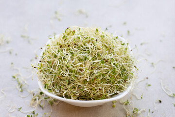 Fresh green sprouted alfalfa seeds