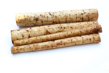 Fresh burdock roots or gobo roots