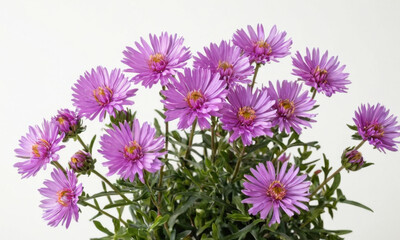Obraz premium A decorative vase filled with purple flowers sitting on a table