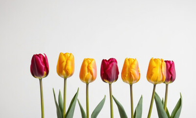 A bouquet of bright yellow and red tulips arranged in a vase, perfect for decorative use