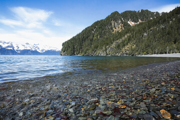 A rugged, rocky shore lines an island off the Kenai Peninsula, just off the Alaskan coast.