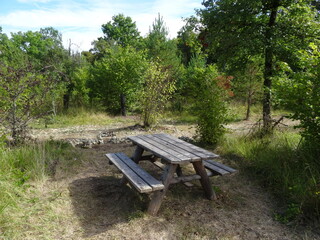 Fototapeta premium Wooden picnic table in a forest clearing - Table de picnic en bois dans une clairière en forêt
