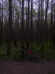 Fototapeta premium Sport bicycle standing near the tree in the green forest with path under bright color blue sky and in spring background with no people. Amazing nature with sunlight among the trees. Natural colors