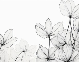 Floral Line Art