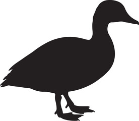 African Pygmy Goose Silhouette Vector Illustration