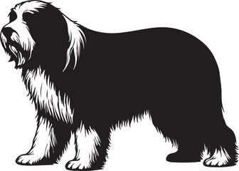Bearded Collie Silhouette Vector Illustration