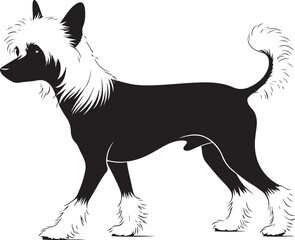 Chinese Crested Dog Silhouette Vector Illustration