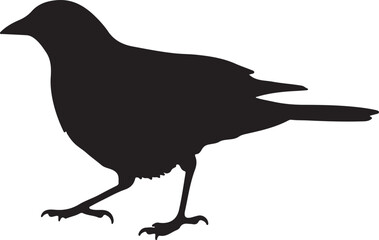 Ecklon’s Widowbird Silhouette Vector Illustration