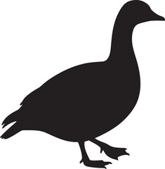 Emperor Goose Silhouette Vector Illustration © Digital Dreams Studi