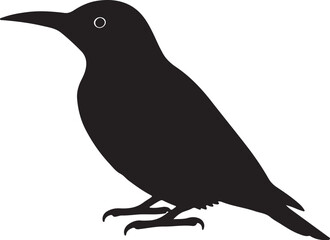 Flicker woodpecker vector silhouette on white background