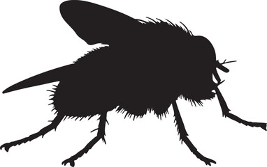 Fly insect vector silhouette on white background