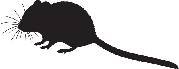 Hazel Dormouse vector silhouette on white background