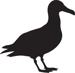 Indian Yellow-nosed Albatross vector silhouette on white background
