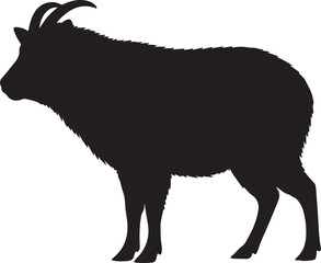 Japanese Robin bird vector silhouette on white background