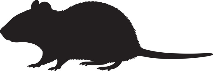 Lassa Mammarenavirus Host rodent silhouette on white background