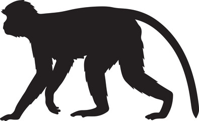 Leaf Monkey vector silhouette on white background