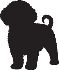 Maltipoo dog vector silhouette on white background