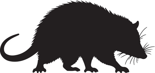 Opossum vector silhouette on white background
