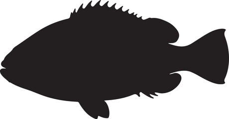 Orange Roughy fish vector silhouette on white background