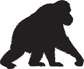 Orangutan ape vector silhouette on white background