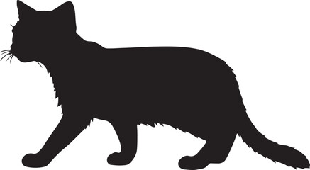 Pakistani Sand Cat vector silhouette on white background