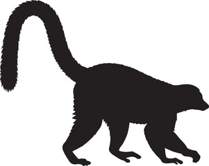 Red-bellied Lemur vector silhouette on white background