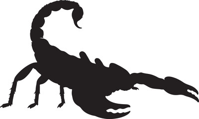 Scorpion arthropod vector silhouette on white background