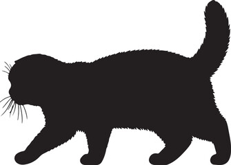 Scottish Fold Cat vector silhouette on white background
