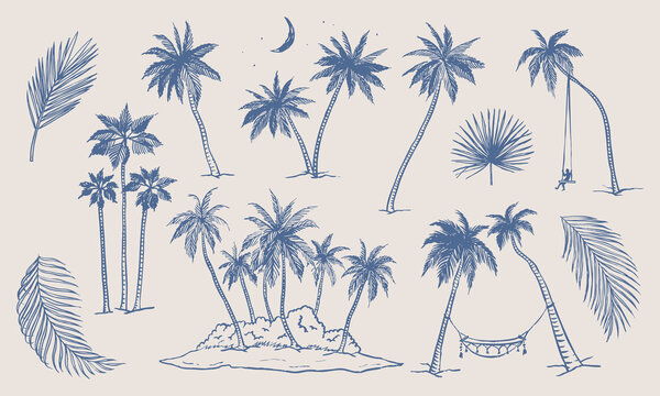 Palm tree and branch elements. Coastal vacation drawings. Hand drawn illustration of island, hammock and swing. Graphic background.
