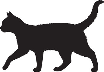 Tortoiseshell Cat silhouette sitting in relaxed pose on white background