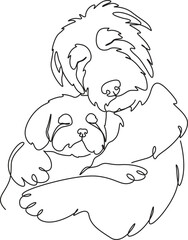 HeartwarmCapture the Love – Pet Hugs that Speak Volumesing Hugs, One Paw at a Time,