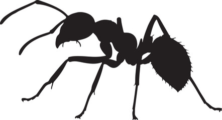 Arboreal Weaver Ant silhouette crawling in side profile on white background