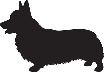 Low-bodied herding dog silhouette standing in profile on white background