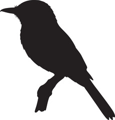 Xolmis Silhouette – Single Icon