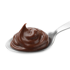 Tasty chocolate pudding in spoon isolated on white