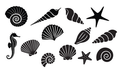 set of sea shells vector. Seashell and Marine Life Silhouette Vector Set of Beach-Themed Graphics on White Background