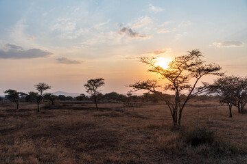 Telephoto of a sunset over the Serengeti, Tanzania