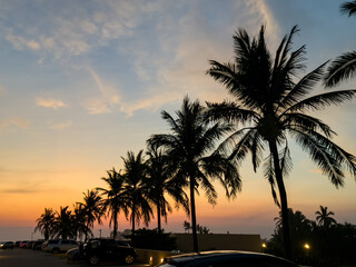 atardecer entre palmeras