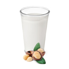 Nut milk in glass and macadamias isolated on white
