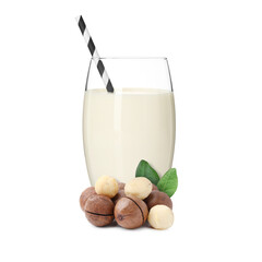 Nut milk in glass and macadamias isolated on white