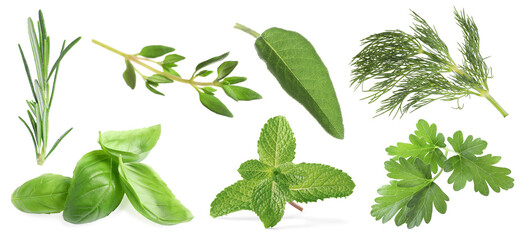 Set of different herbs isolated on white