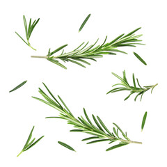 Fototapeta premium Fresh aromatic rosemary isolated on white, collage