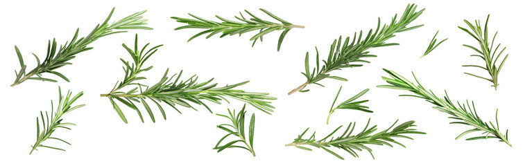 Fresh aromatic rosemary isolated on white, collage