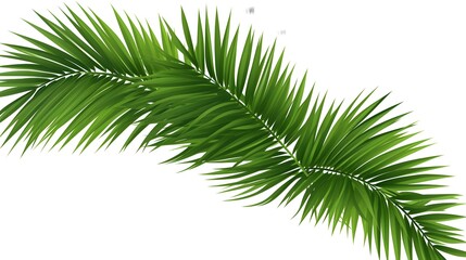 Obraz premium Realistic Green Palm Leaves Vector Illustration for Corner Decoration in Flat Style