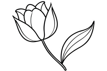 Elegant tulip flower illustration shows outline on a stem alongside a single leaf