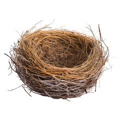 Obraz premium Empty bird nest