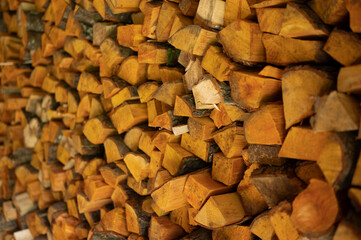 Firewood stacked and prepared for winter