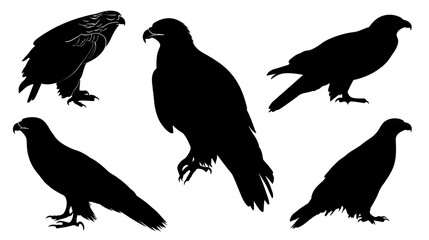 Obraz premium Eagle set simple black silhouette vector isolated on white background - 