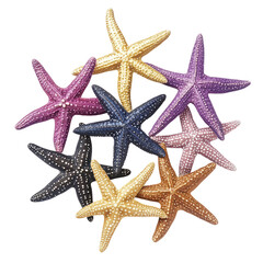 Colorful starfish cluster